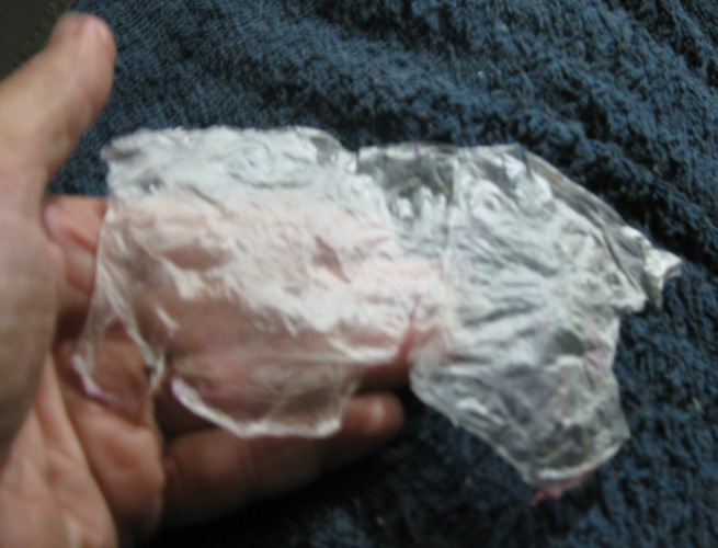 dry membrane